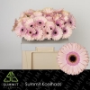 Gerbera Roz, 50 cm, Pachet (10 buc.)